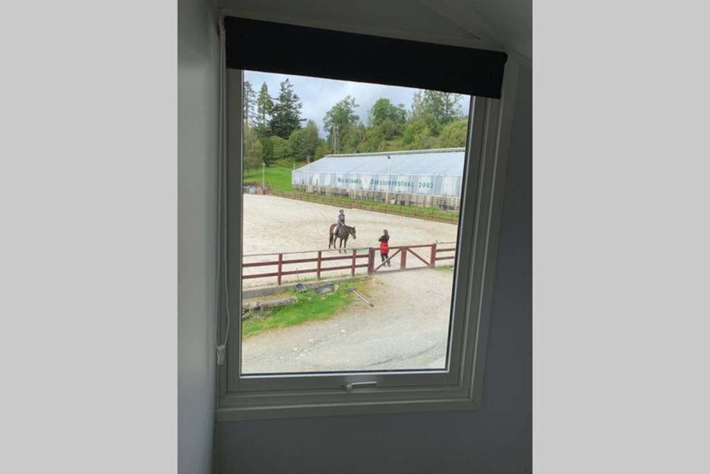 Moldegaard Riding Lodge Moldegard Extérieur photo